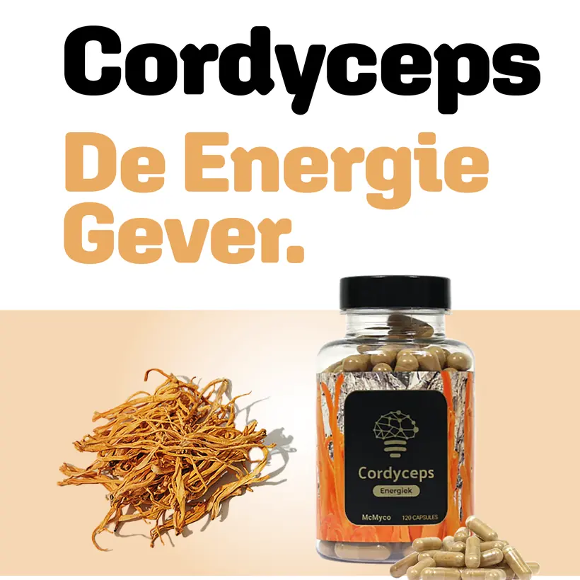 Poster Provithor Cordyceps