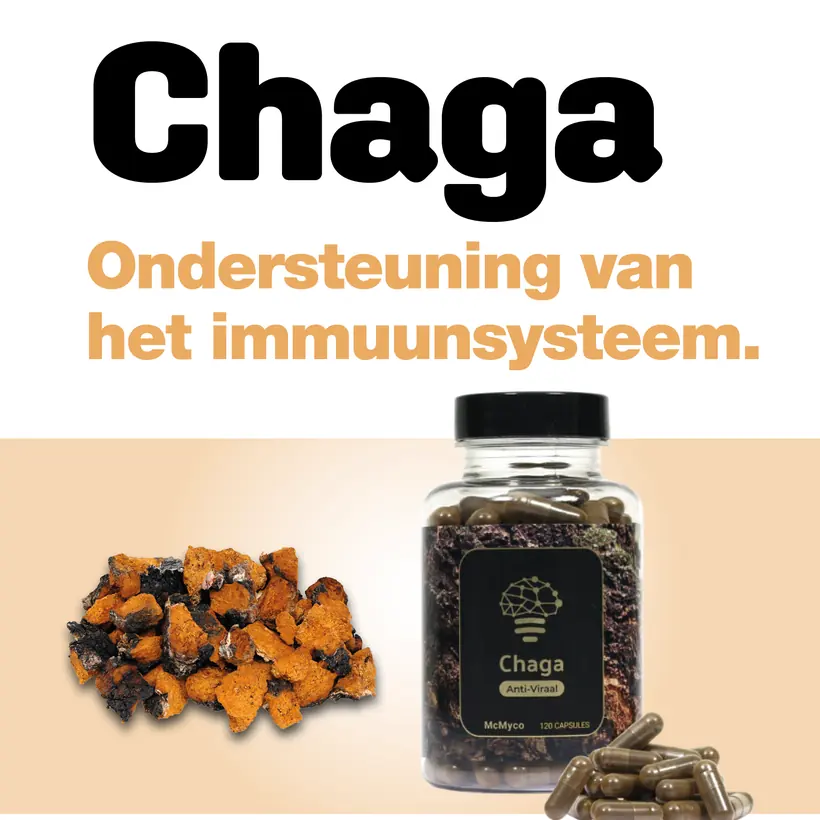Poster Provithor Chaga