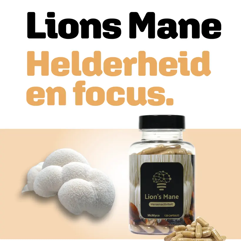 Poster Provithor Lions Mane